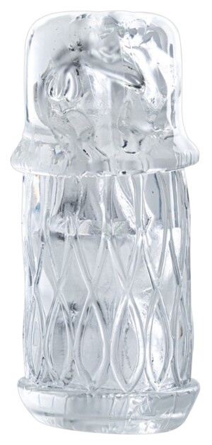 Lotus s rukávem snů